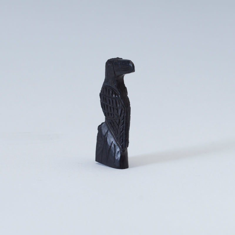 Christopher Peina: Black Jet, Raven On Stump