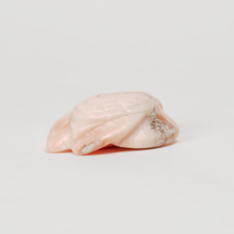 Austin Yatsattie: Orange Alabaster, Turtle