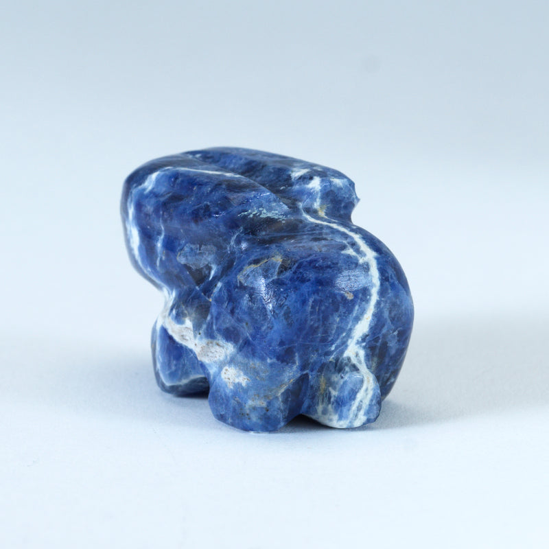 Kyle Mahooty (d): Sodalite, Rabbit