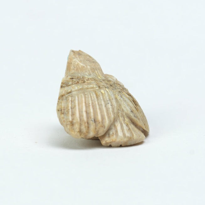 Vern Neito (d): Serpentine, Owl
