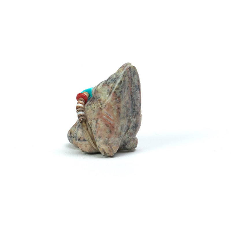 Annette Tsikewa: Watermelon Serpentine, Coyote