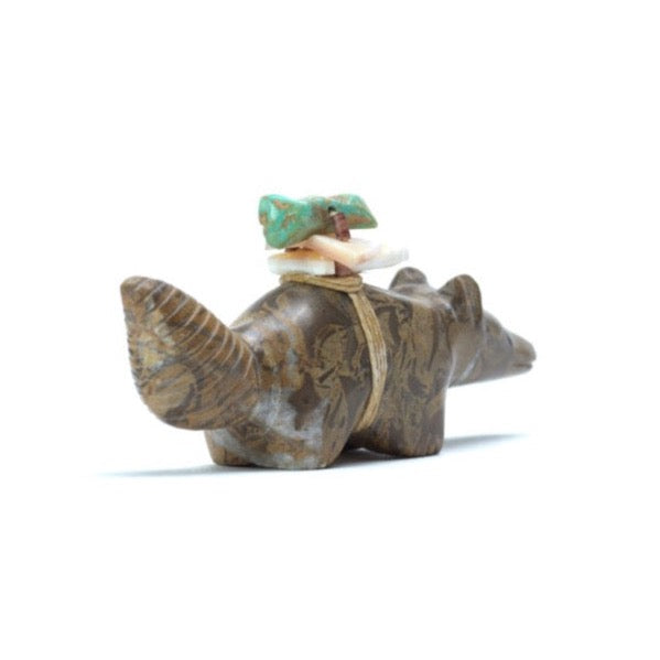 Pete Gasper Jr.: Fossil, Coyote