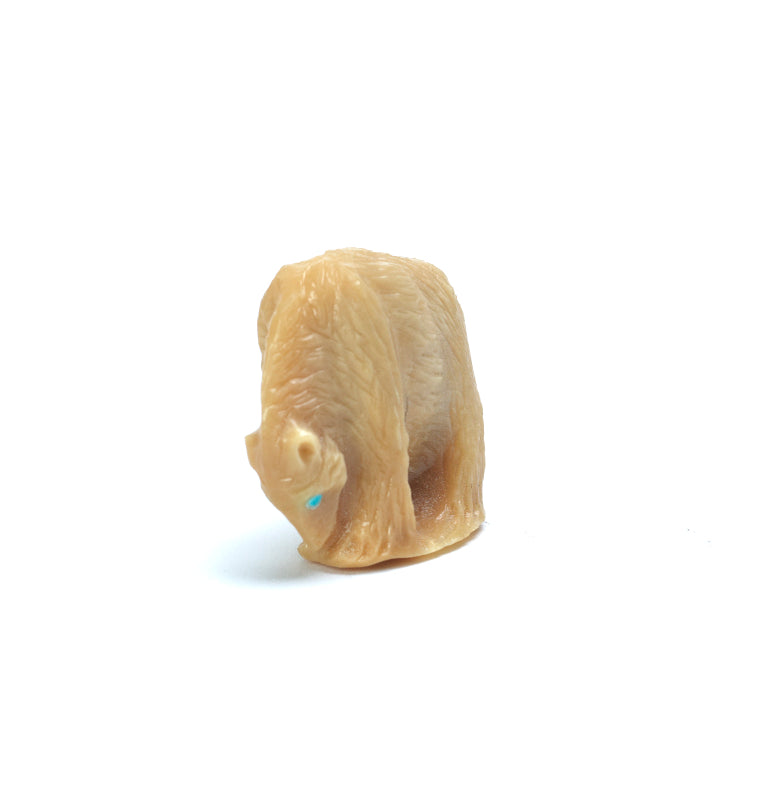 Alvino Nastacio: Tagua Nut, Bear