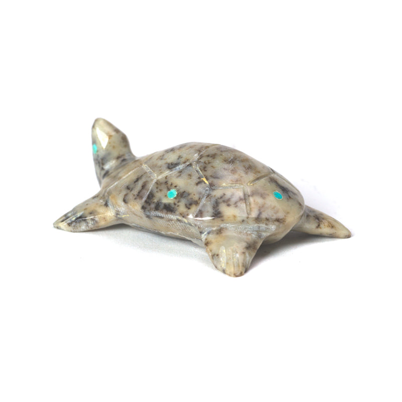 Alex Poncho: Serpentine, Turtle