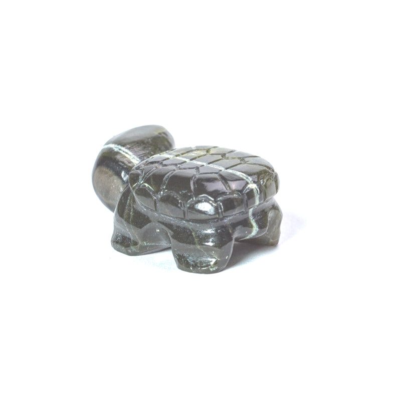 Richard Epaloose: Green Serpentine, Turtle