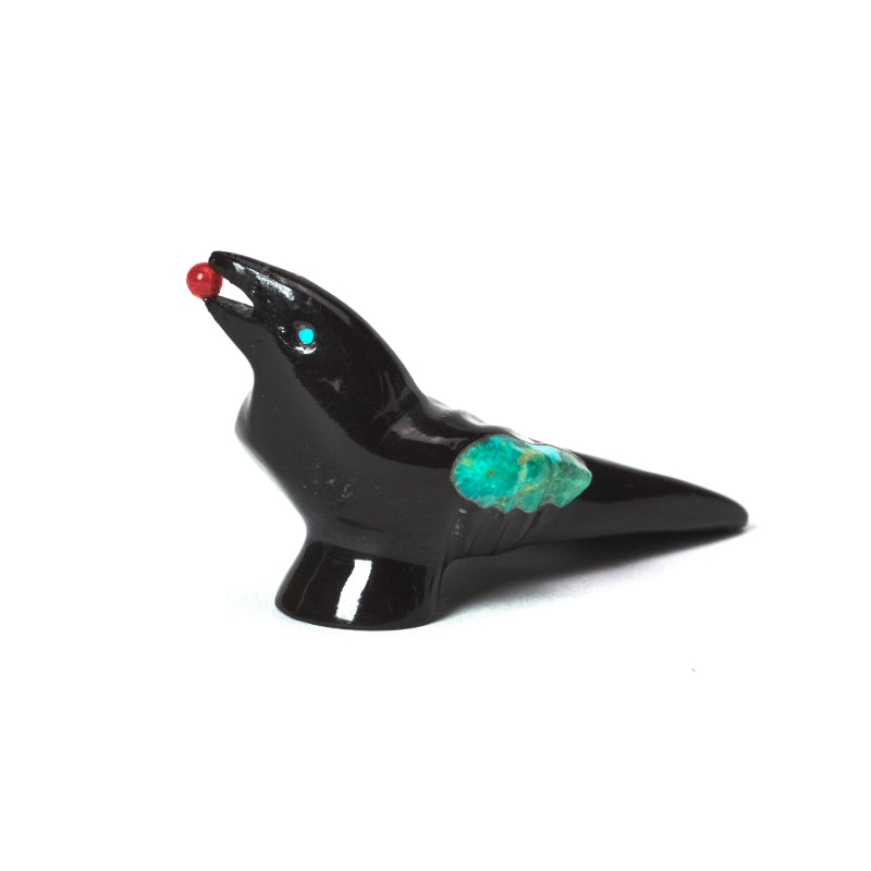 Calvert Bowannie: Black jet/Turquoise Winged/Magpie