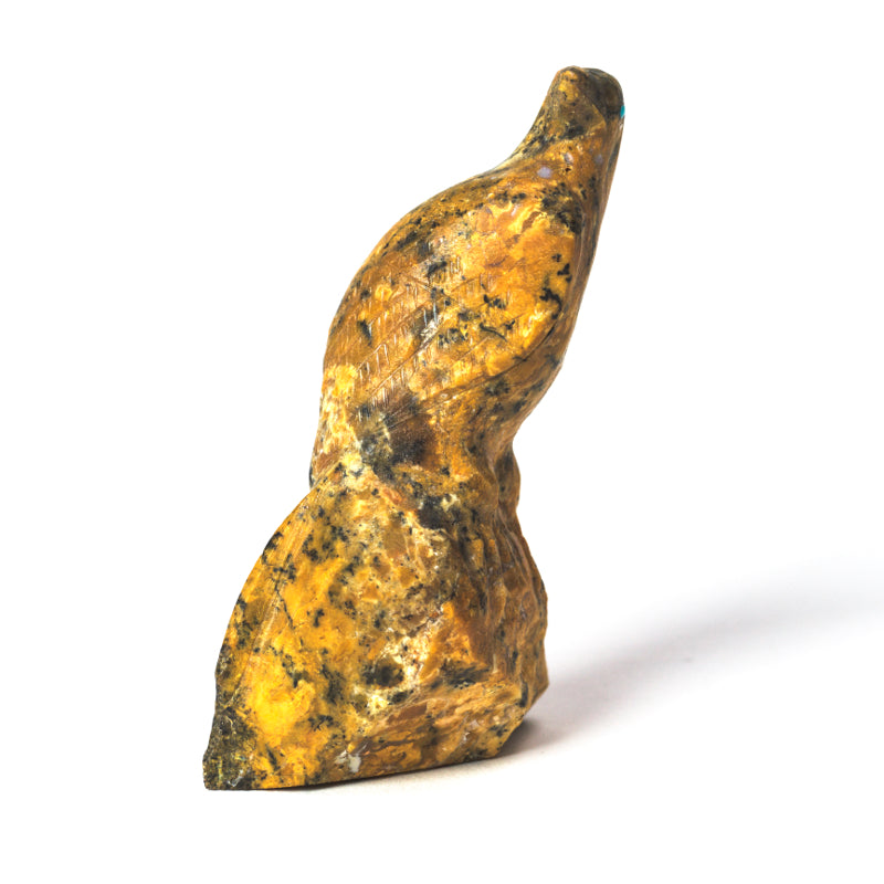 Derrick Kaamasee: Canary Bird