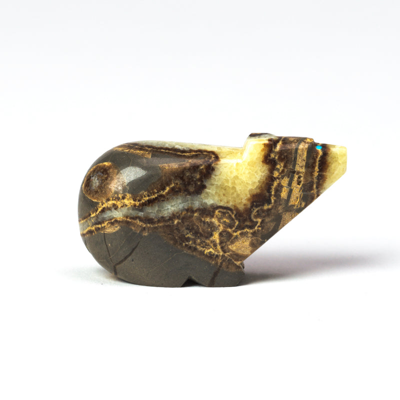 Clayton & Abby Panteah: Septarian, Bear
