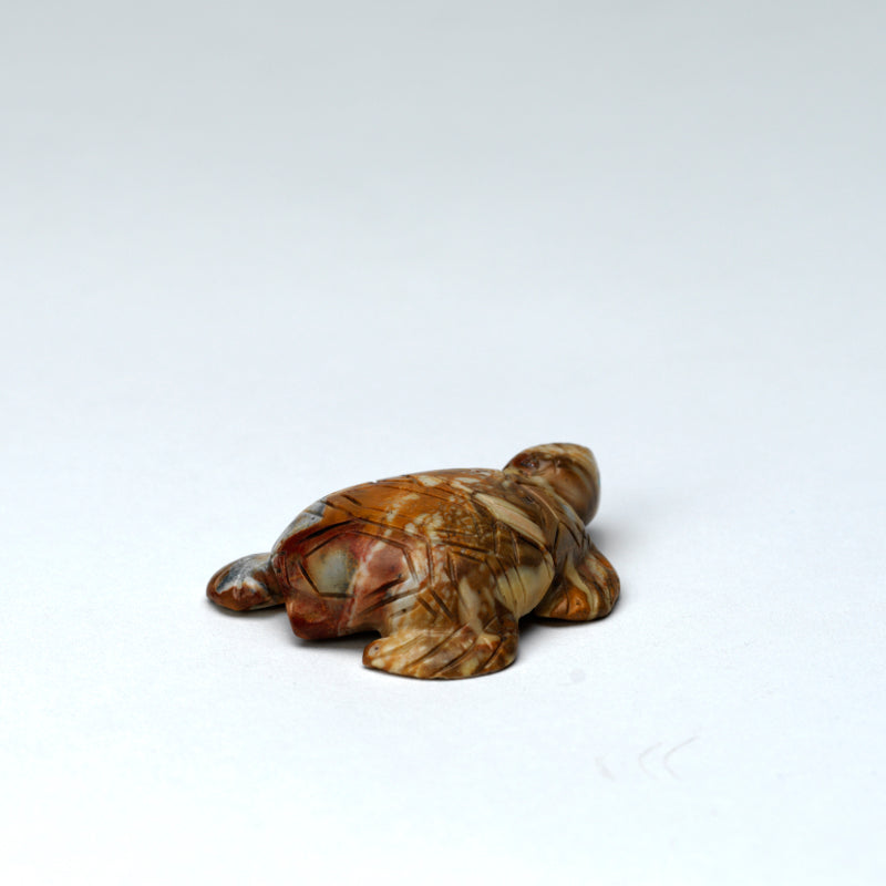 Karen Zunie: Picasso Marble, Turtle