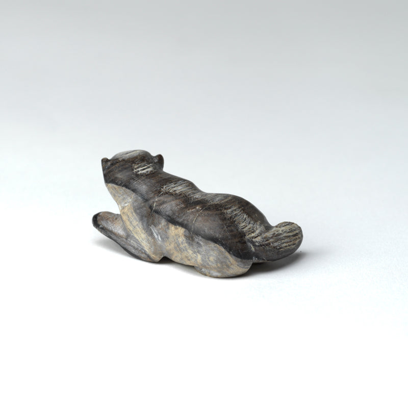 Melvin Sandoval: Petified Wood, Beaver