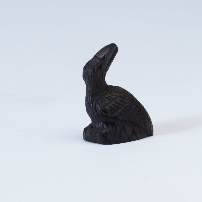 Christopher Peina: Black Jet, Back Turned Raven