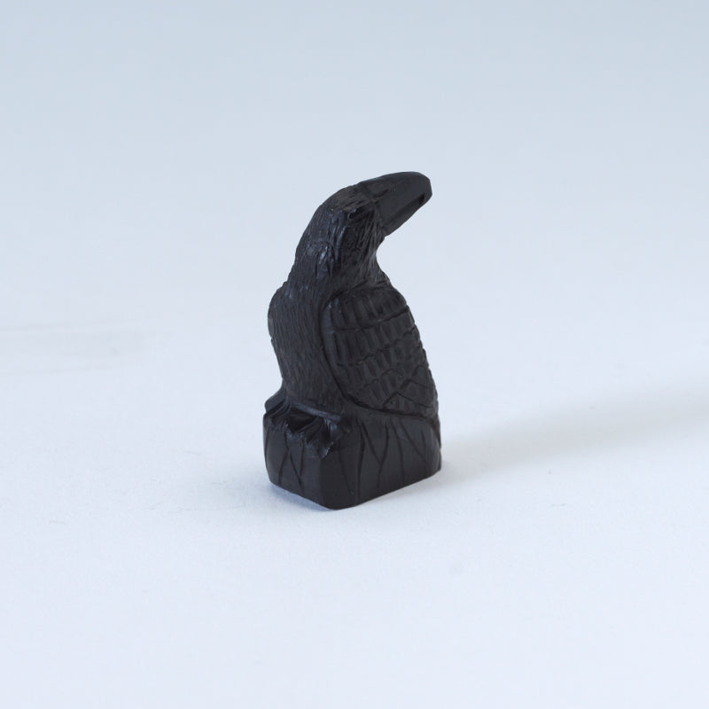 Christopher Peina: Black Jet, Turning, Raven