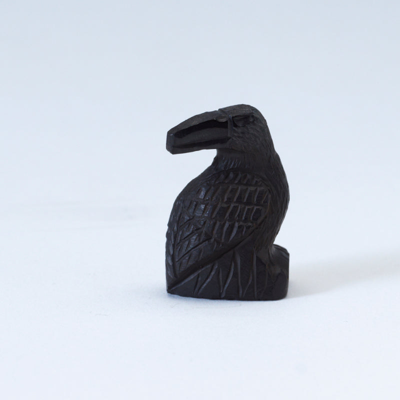 Christopher Peina: Black Jet, Turning head, Raven