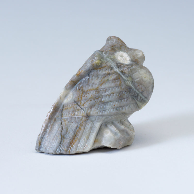 Derrick Kaamasee: Picasso, Owl