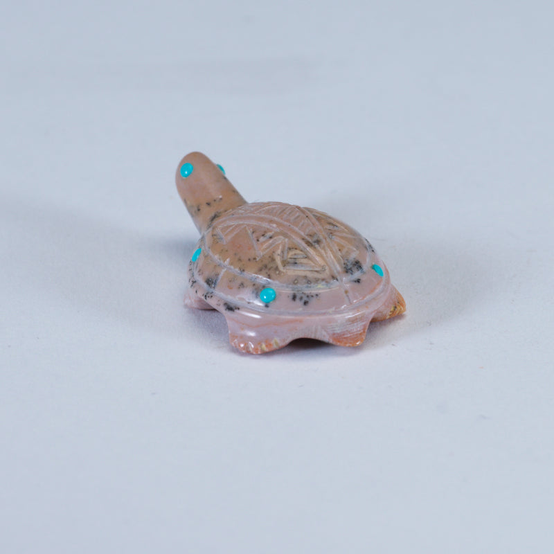 Ronnie Lunasee: Dolomite, Turtle