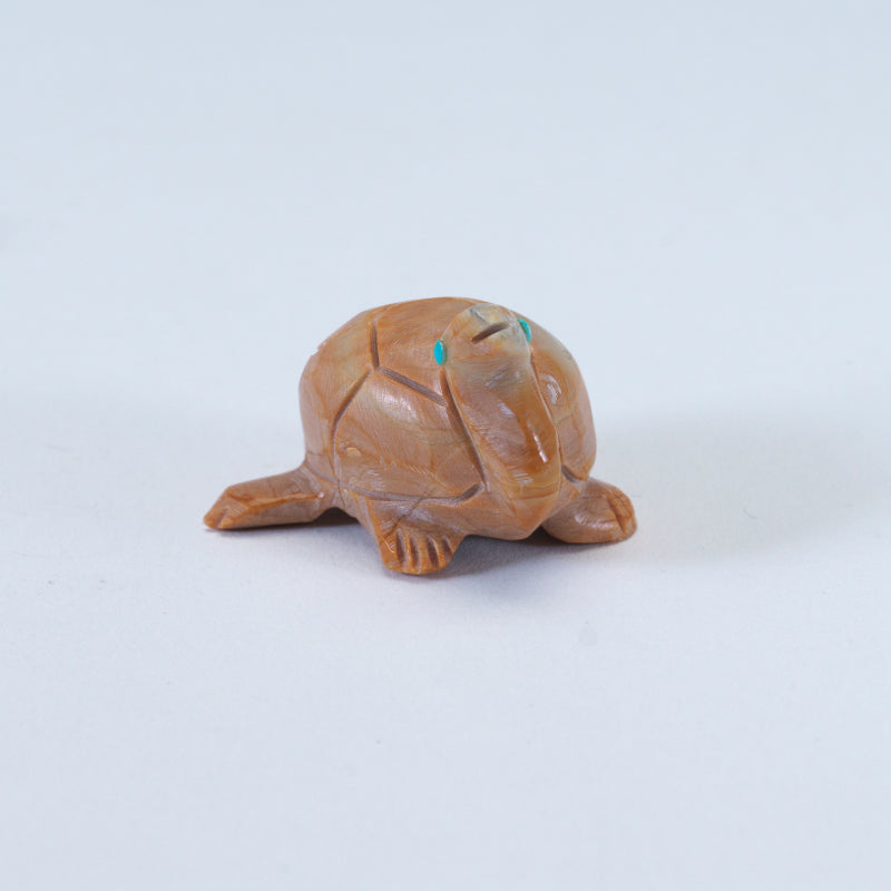 Nelson Yatsattie: Dolomite, Turtle