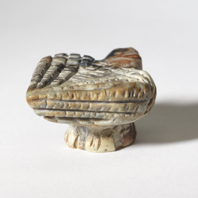 Karen Hustito: Picasso, Owl