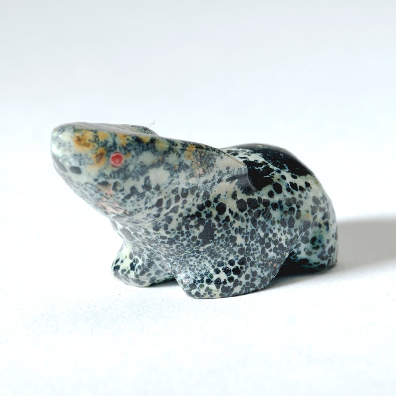 Hubert Quam: Argite, Rabbit