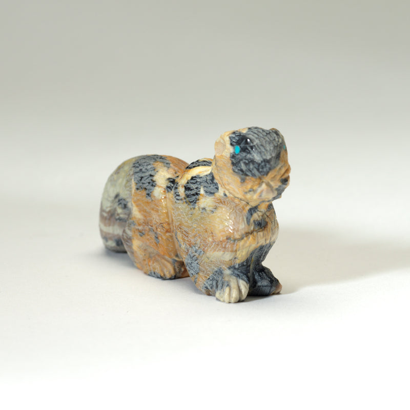Tony Mackel: Leopard Jasper, Otter