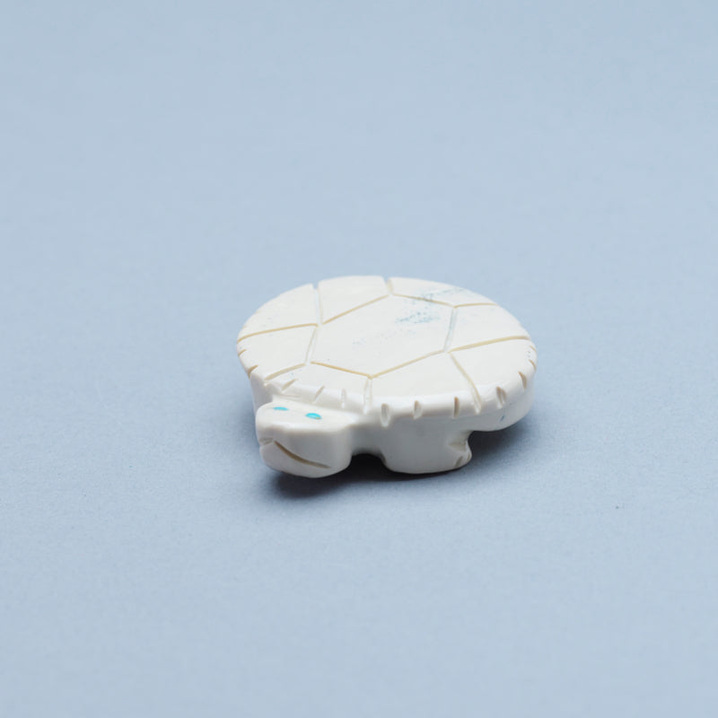 Taylor Gia: Fishrock, Turtle