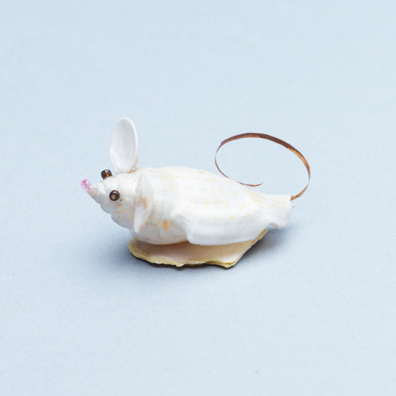 Ruben Najera: Shell, Mouse on Base
