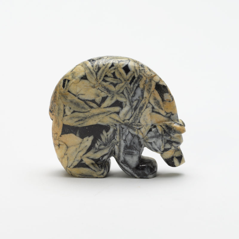 Brian Yatsattie: Pinolite , Medicine Bear