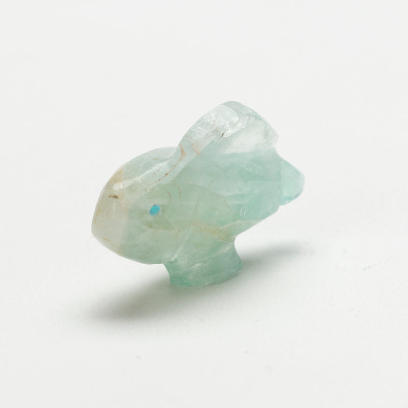 Benina Kallestewa: Flourite, Fish