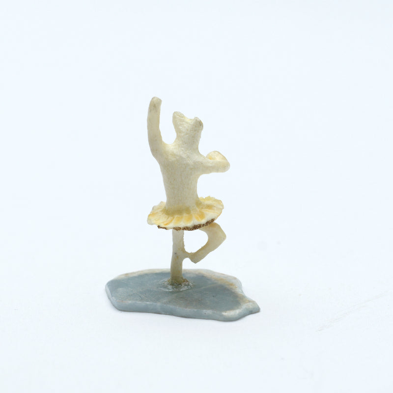 Ruben Najera: Bone/Antler , Ballerina Bear