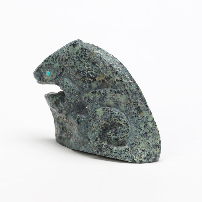 Derrick Kaamasee: Augite, Chameleon