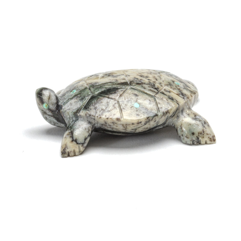 Alex Poncho: Serpentine, Turtle