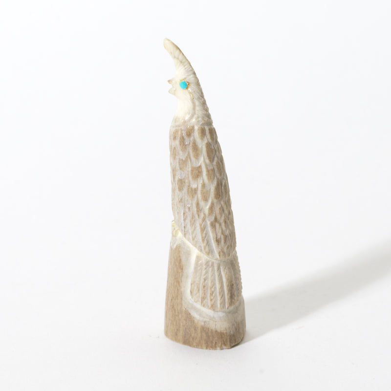 Elton Kaamasee: Antler, Quail