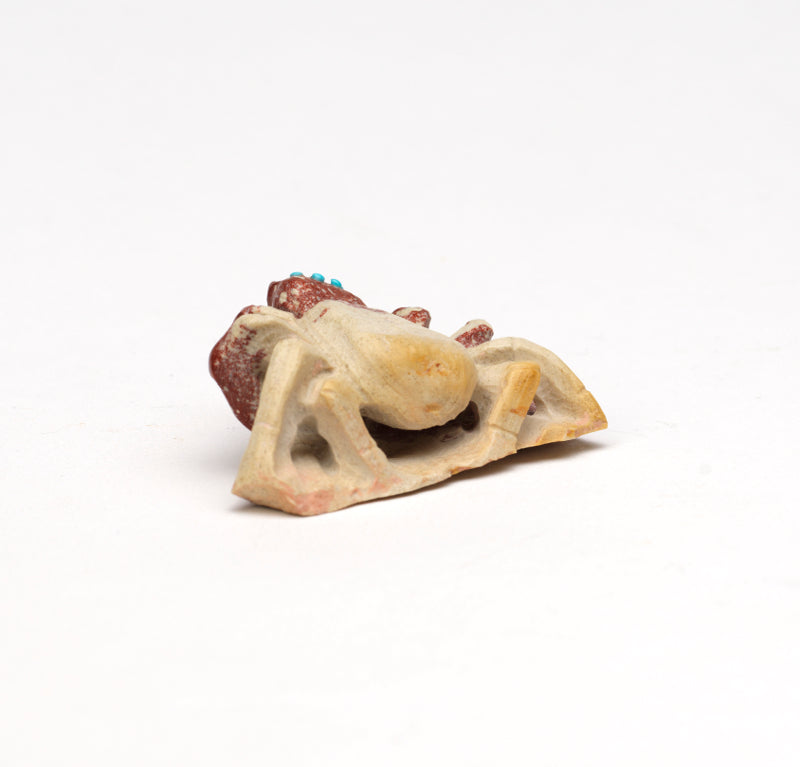 Derrick Kaamasee: Pipestone, Tarantula