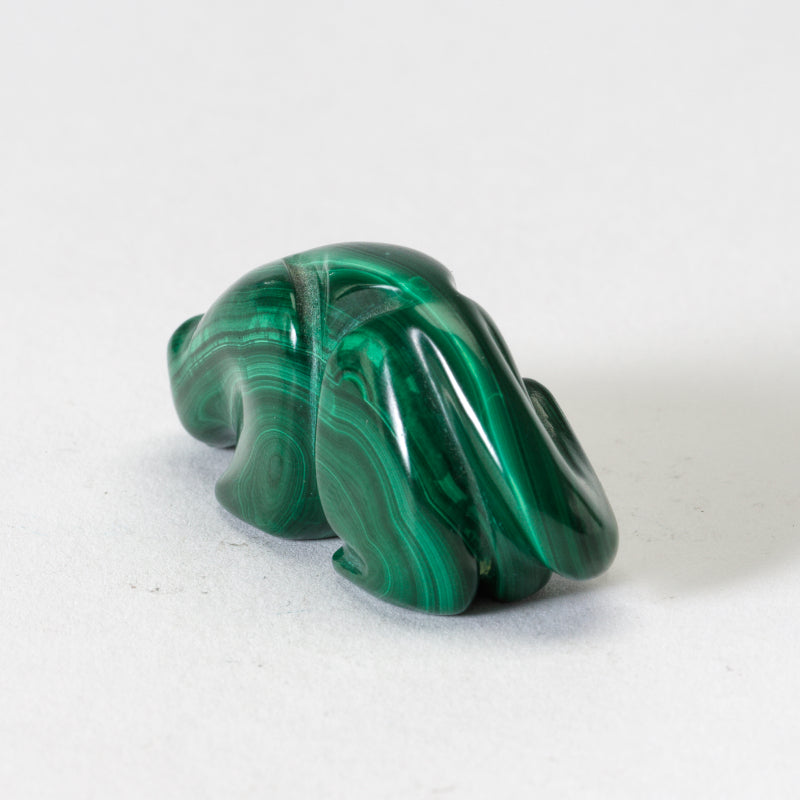 Rosella Lunasee & Loubert Soseeah: Malachite, Mountain Lion