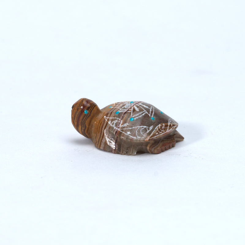 Adrian Cachini: Onyx, Sgraffito Turtle