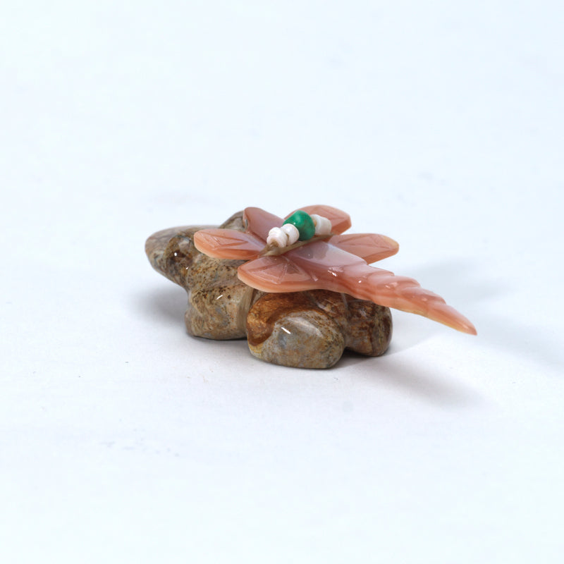 Daisy Rose Leonard: Picasso Marble, Frog with Pink Mussel Shell Dragonfly