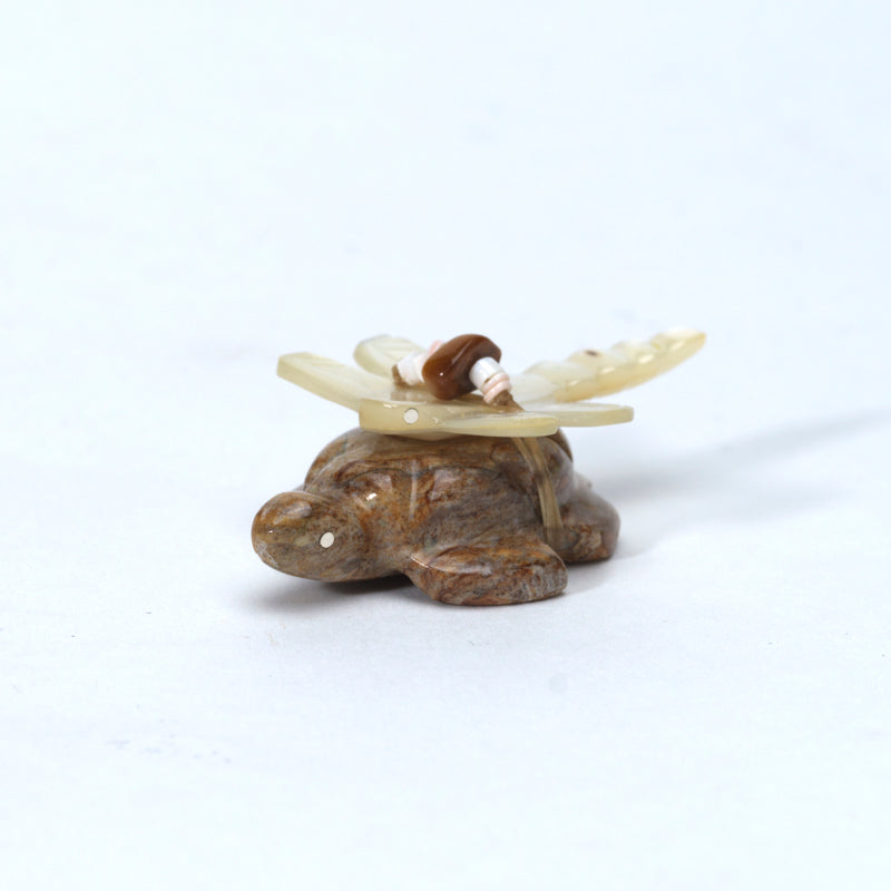 Daisy Rose Leonard: Picasso, Turtle with Mother of Pearl Dragonfly