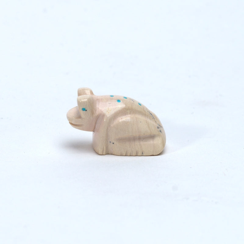 Fred Weekoty: Fishrock, Frog
