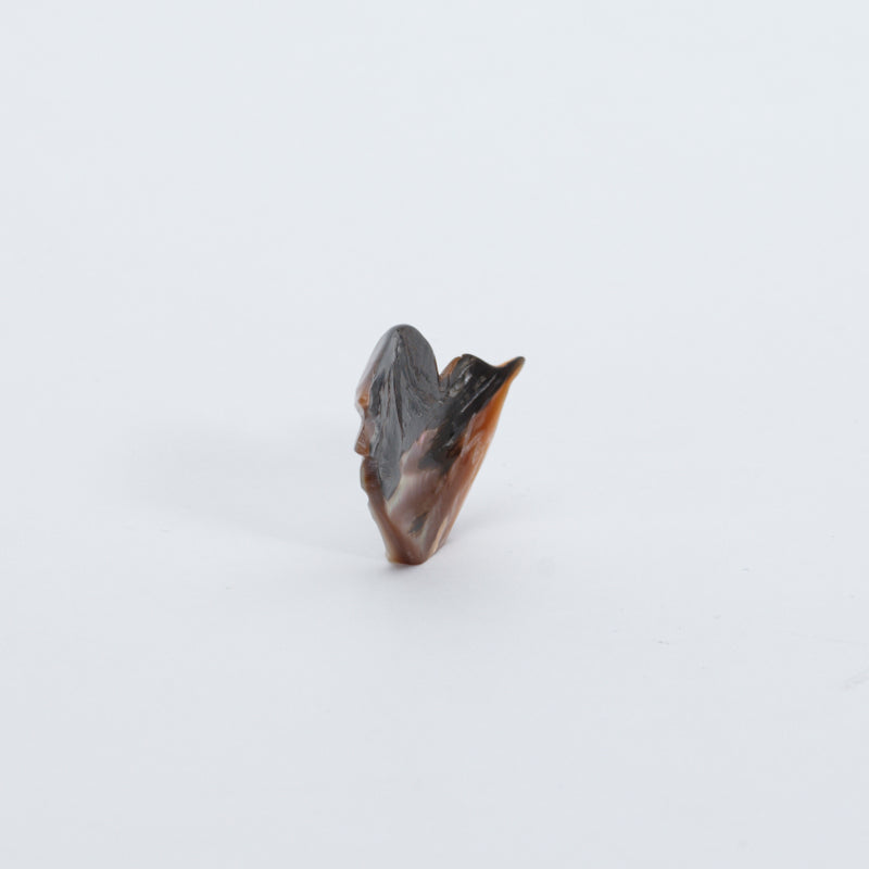 Daniel Chattin: Smokey Penn Shell, Bird