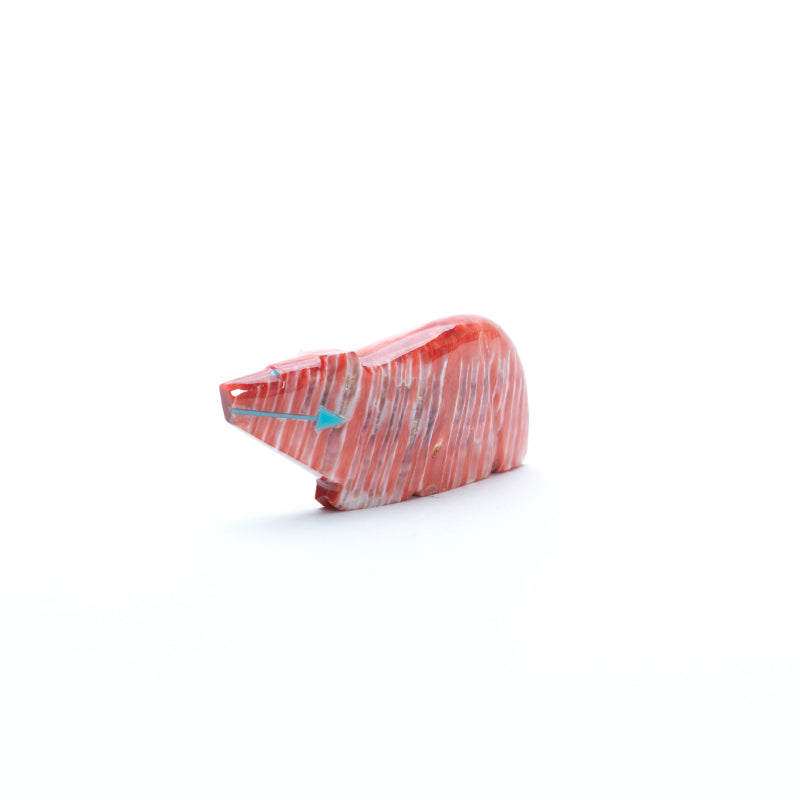 Clayton & Abby Panteah: Spiny Oyster, Wolf