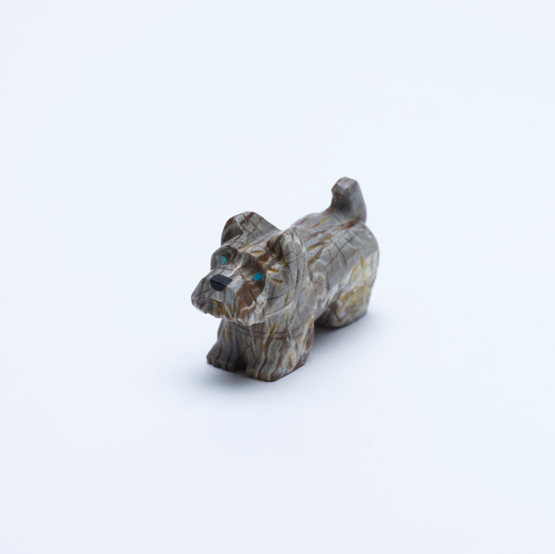 Felissa Martin: Picasso, Scottish Terrier