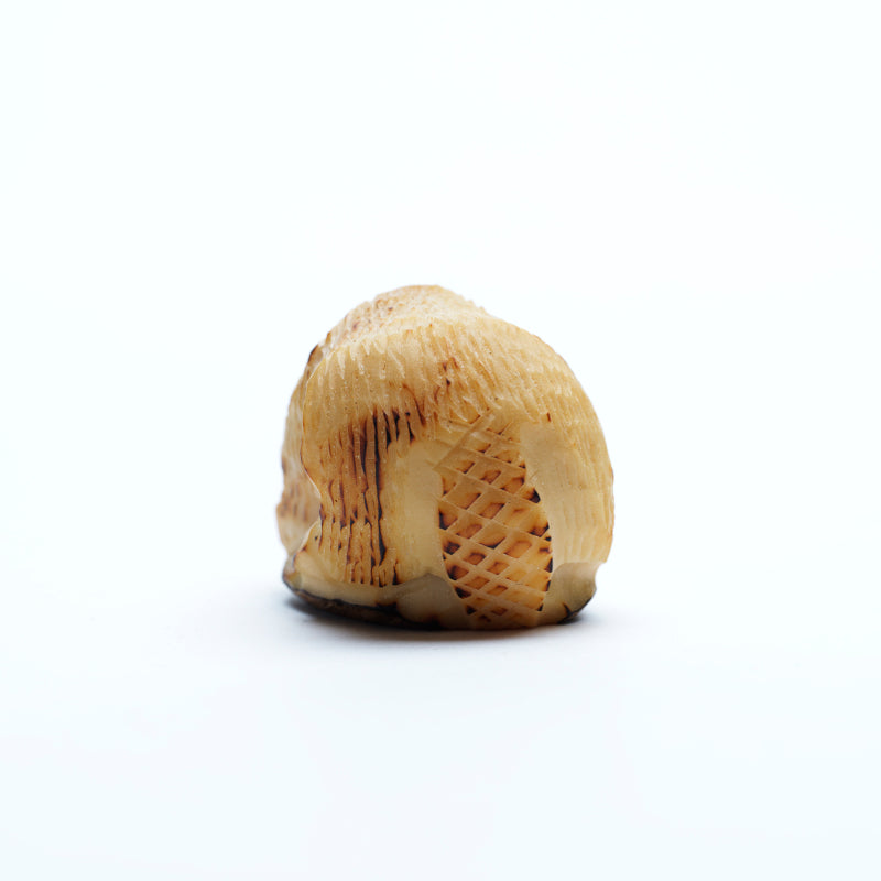 Alvert Lamy: Tagua Nut, Beaver