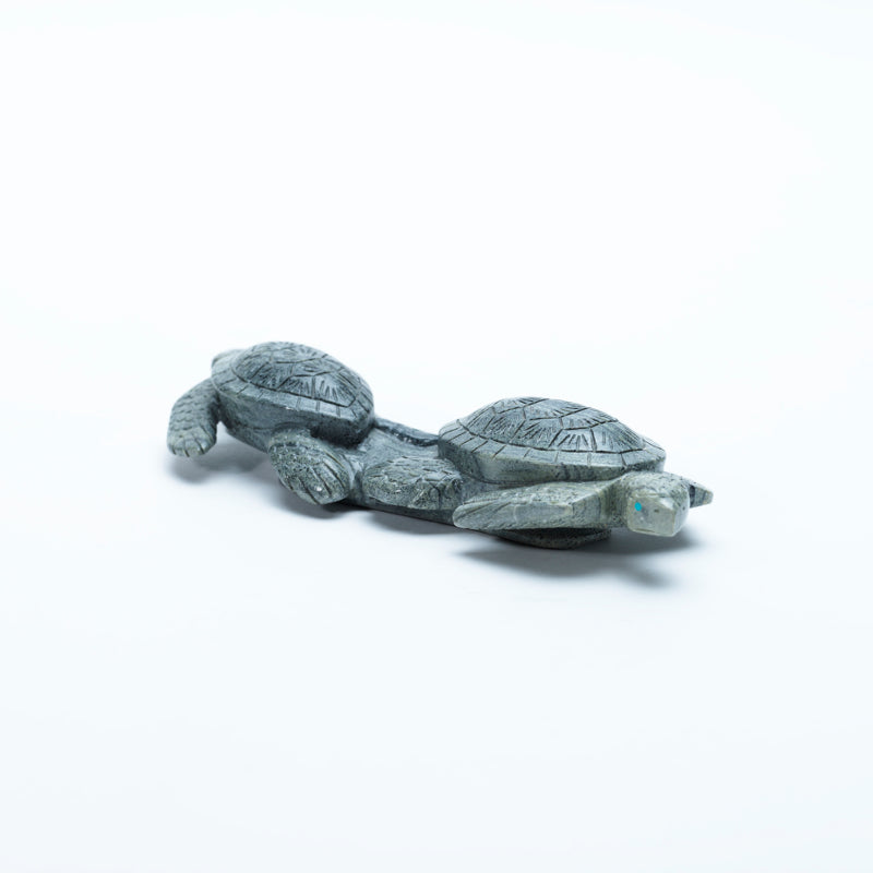 Vern Neito (d): Augite, Double Turtles