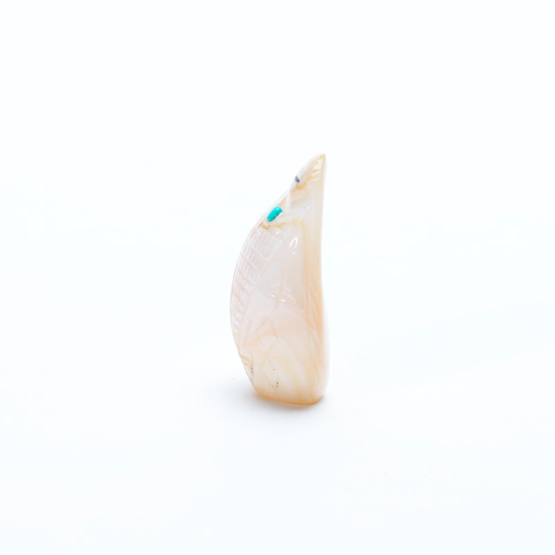 Sandra Quandelacy: Pink Mussell Shell, Maiden