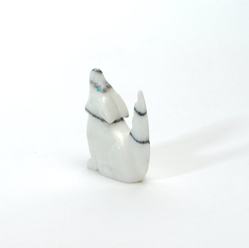 Andres Lementino: Howlite, Coyote