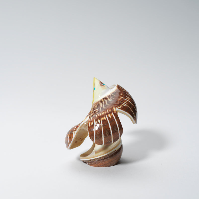 Delvin Leekya: Green Snail Shell, Eagle