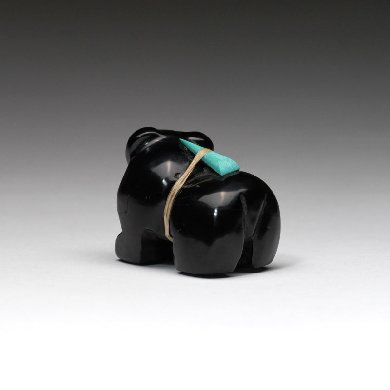 Fitz Kiyite: Black Jet, Bear