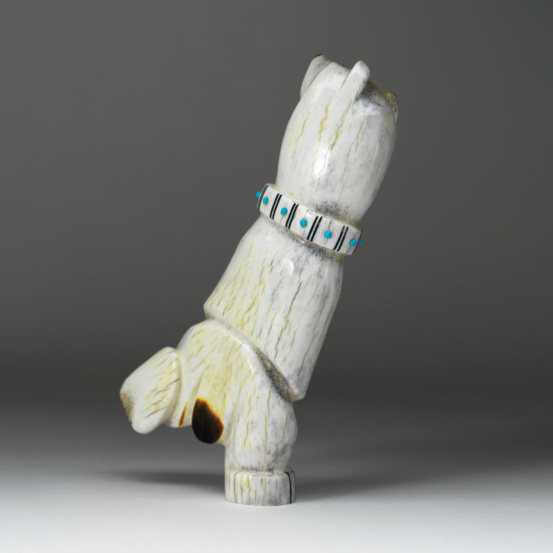 Claudia Peina: Elk Antler, Singing & Dancing Bear