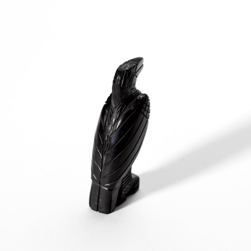 Fitz Kiyite & Marlo Booqua: Black Jet, Raven