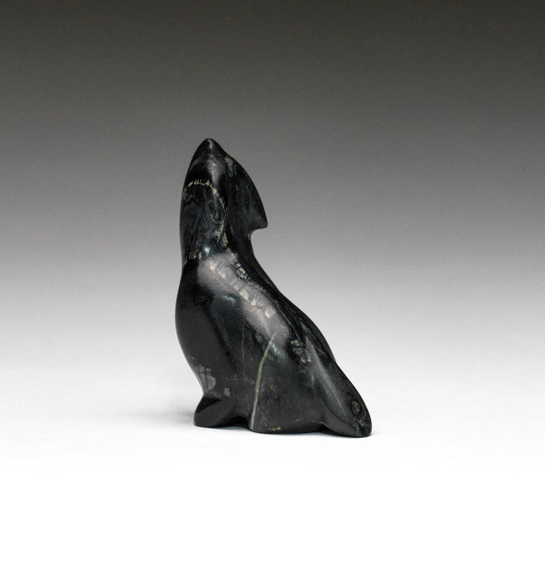 Melvin Sandoval: Picasso Marble, Coyote