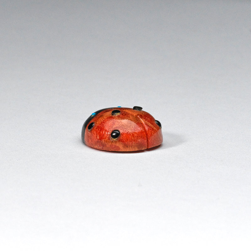 Georgette Quam: Apple coral, Ladybug